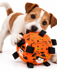 Balle d’Activité Halloween pour Chien 15cm – Peluche à Rubans