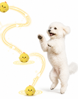 Balle Interactive Sonore Rebondissante pour Chien et Chat Jouet Sans Piles