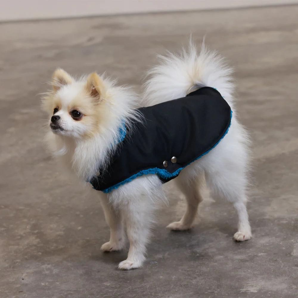 Pull Imperméable pour chien &#39;Teddy&#39; multicolore par SohoPoms - Pom D&#39;Azur