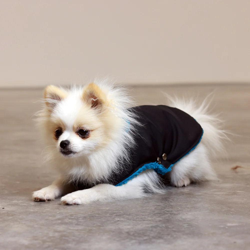 Pull Imperméable pour chien &#39;Teddy&#39; multicolore par SohoPoms - Pom D&#39;Azur