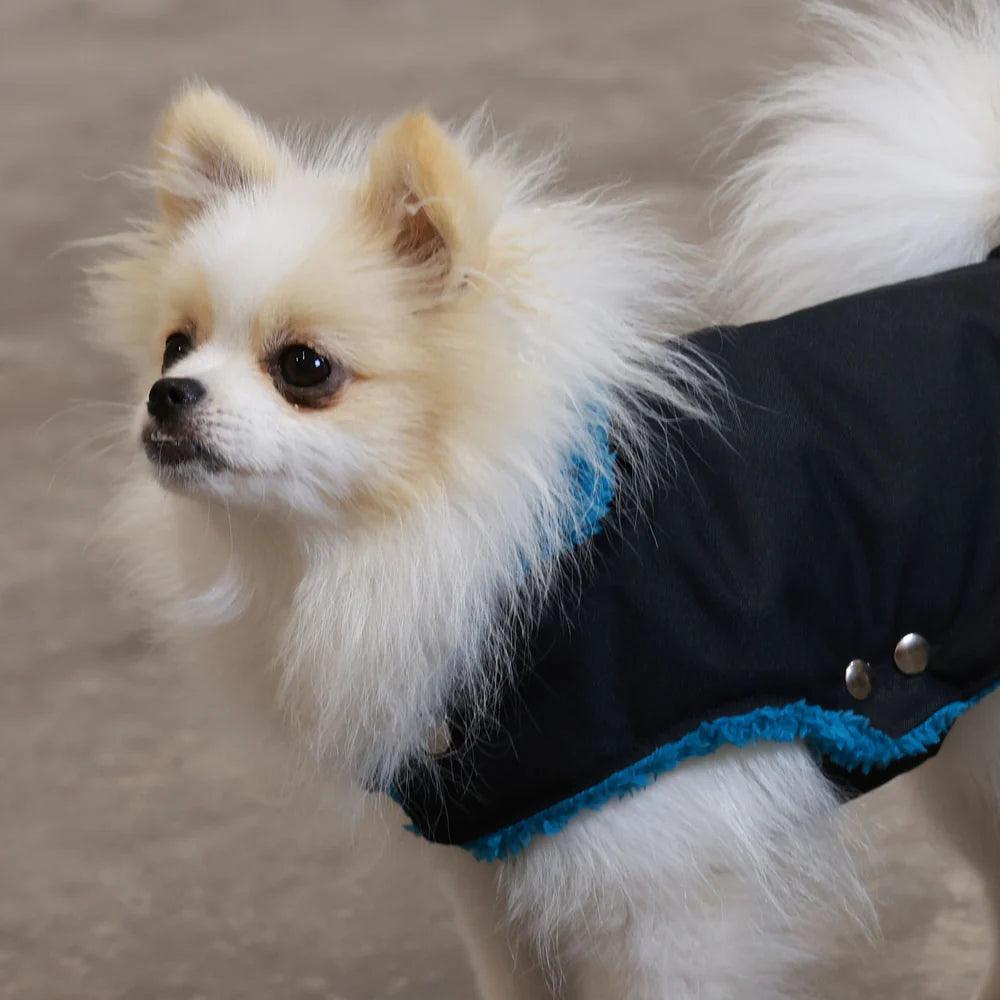Pull Imperméable pour chien &#39;Teddy&#39; multicolore par SohoPoms - Pom D&#39;Azur