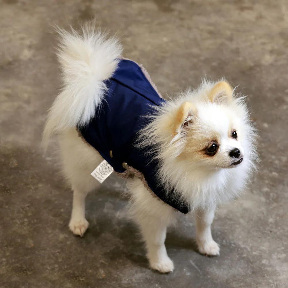 Pull Imperméable pour chien &#39;Teddy&#39; multicolore par SohoPoms - Pom D&#39;Azur