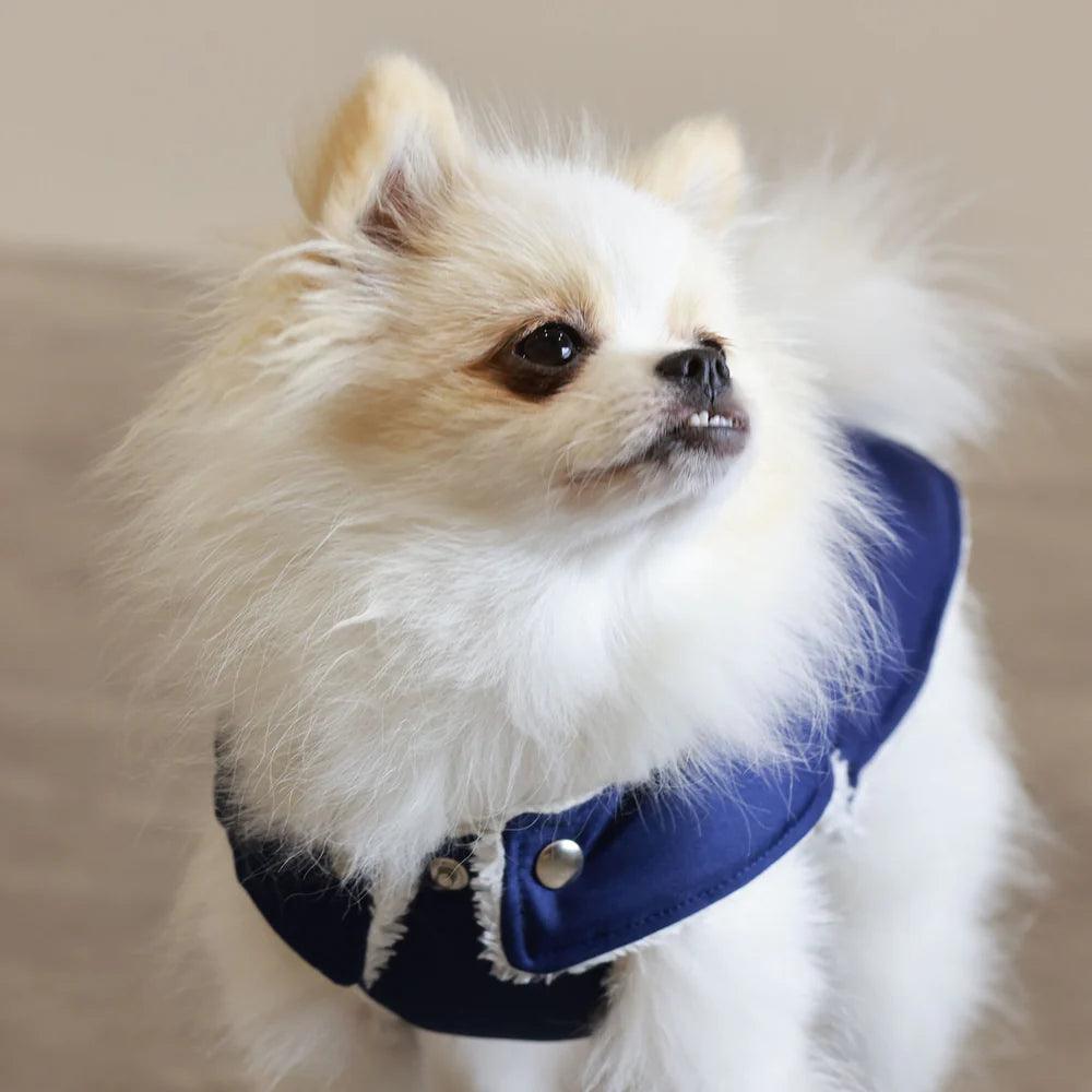 Pull Imperméable pour chien &#39;Teddy&#39; multicolore par SohoPoms - Pom D&#39;Azur
