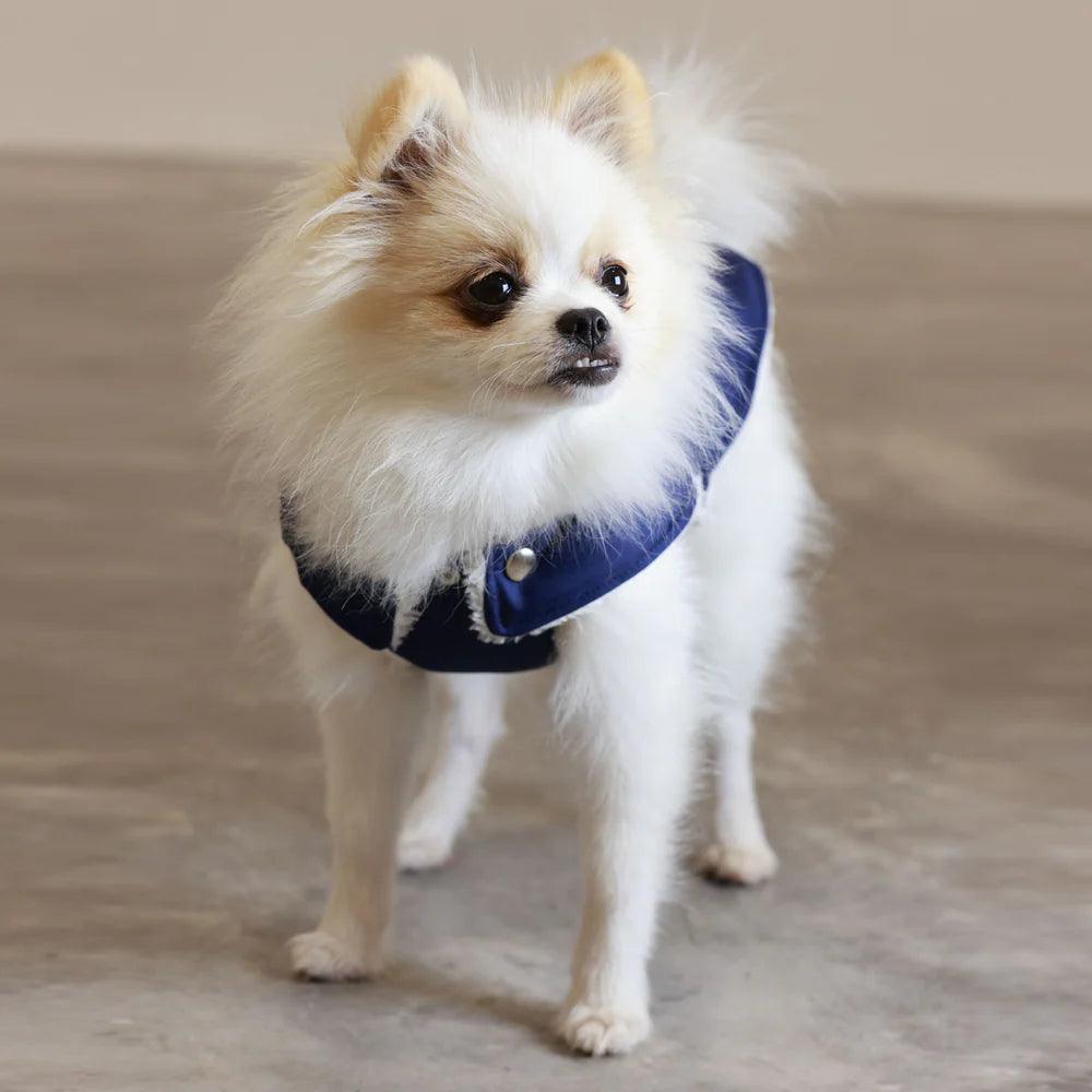 Pull Imperméable pour chien &#39;Teddy&#39; multicolore par SohoPoms - Pom D&#39;Azur