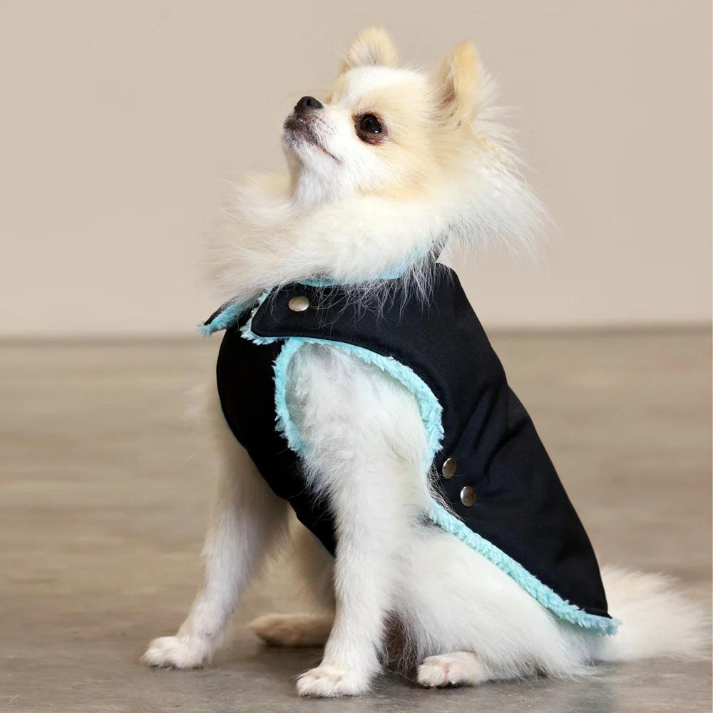 Pull Imperméable pour chien &#39;Teddy&#39; multicolore par SohoPoms - Pom D&#39;Azur
