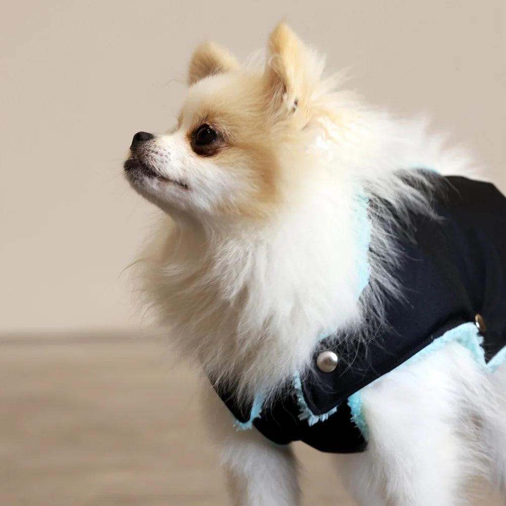 Pull Imperméable pour chien &#39;Teddy&#39; multicolore par SohoPoms - Pom D&#39;Azur