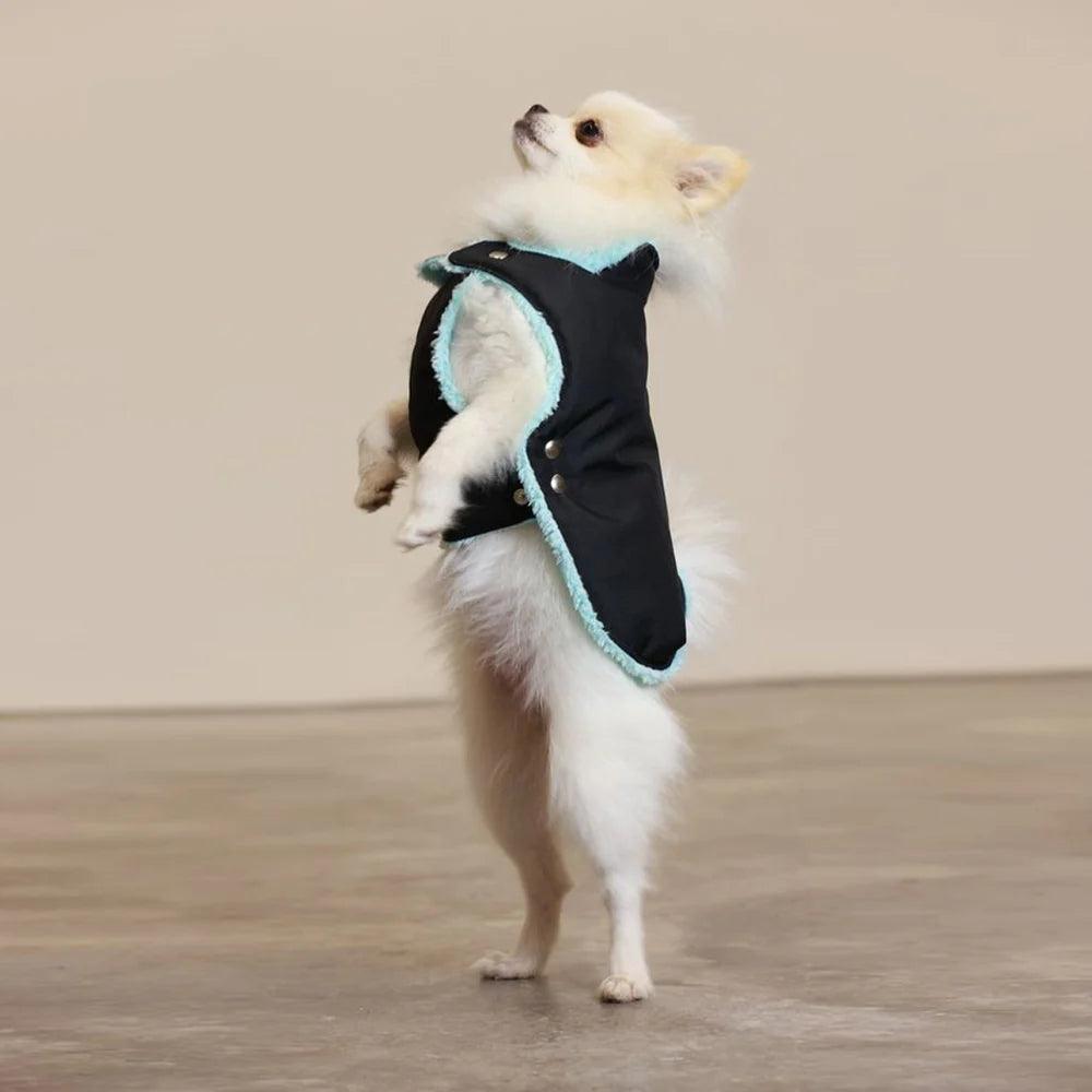 Pull Imperméable pour chien &#39;Teddy&#39; multicolore par SohoPoms - Pom D&#39;Azur