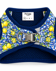 Harnais Mini Amalfi Pawppy Paris