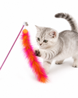Canne à Plumes pour Chat – Rose & Orange avec Grelot