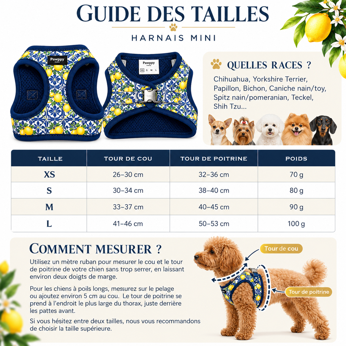Harnais Mini Amalfi Pawppy Paris