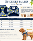 Harnais Mini Amalfi Pawppy Paris