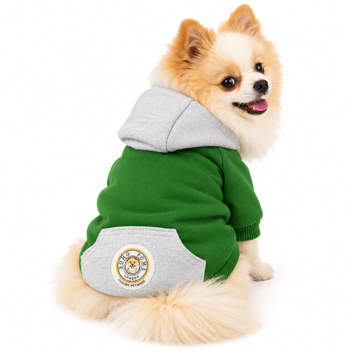Sweat à Capuche pour Chien Vert &amp; Gris – Élégance Sportive Sohopoms