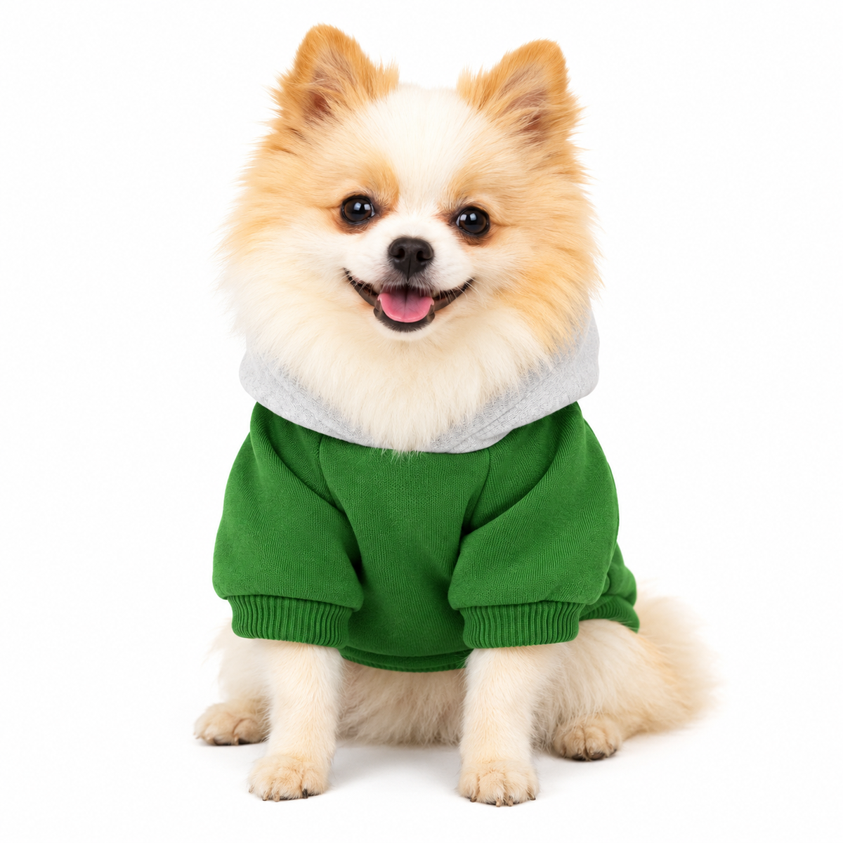 Sweat à Capuche pour Chien Vert &amp; Gris – Élégance Sportive Sohopoms