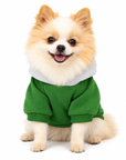 Sweat à Capuche pour Chien Vert & Gris – Élégance Sportive Sohopoms