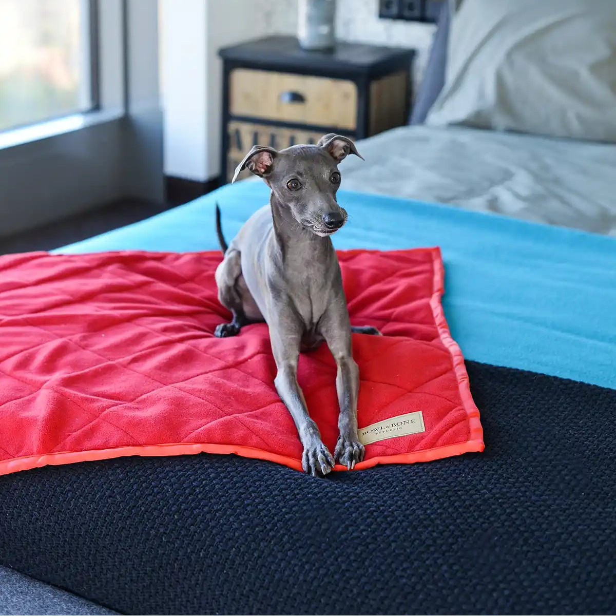 Couverture pour Chien 'Royale' par Bowl&Bone