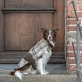 Load image into Gallery viewer, Manteau pour chien LEAF Marron par Bowl & Bone
