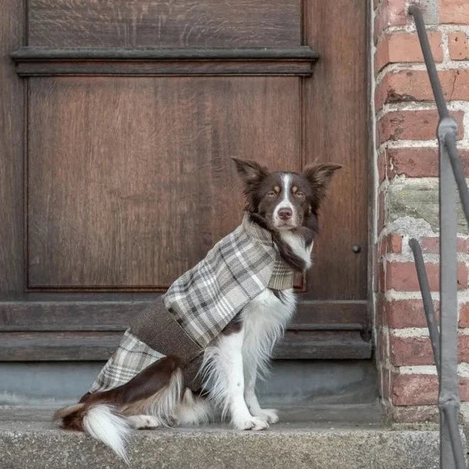 Manteau Pour Chien LEAF Orange par Bowl & Bone