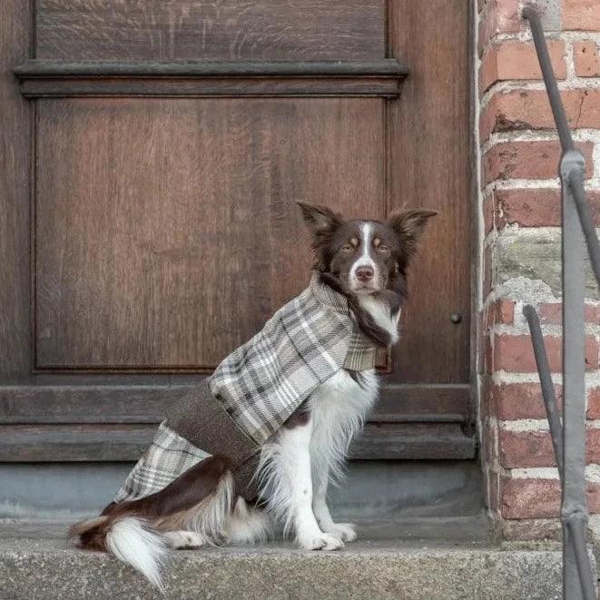 Manteau Pour Chien LEAF Gris par Bowl & Bone - Pom D'Azur