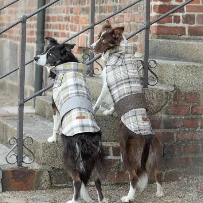 Manteau Pour Chien LEAF Gris par Bowl & Bone