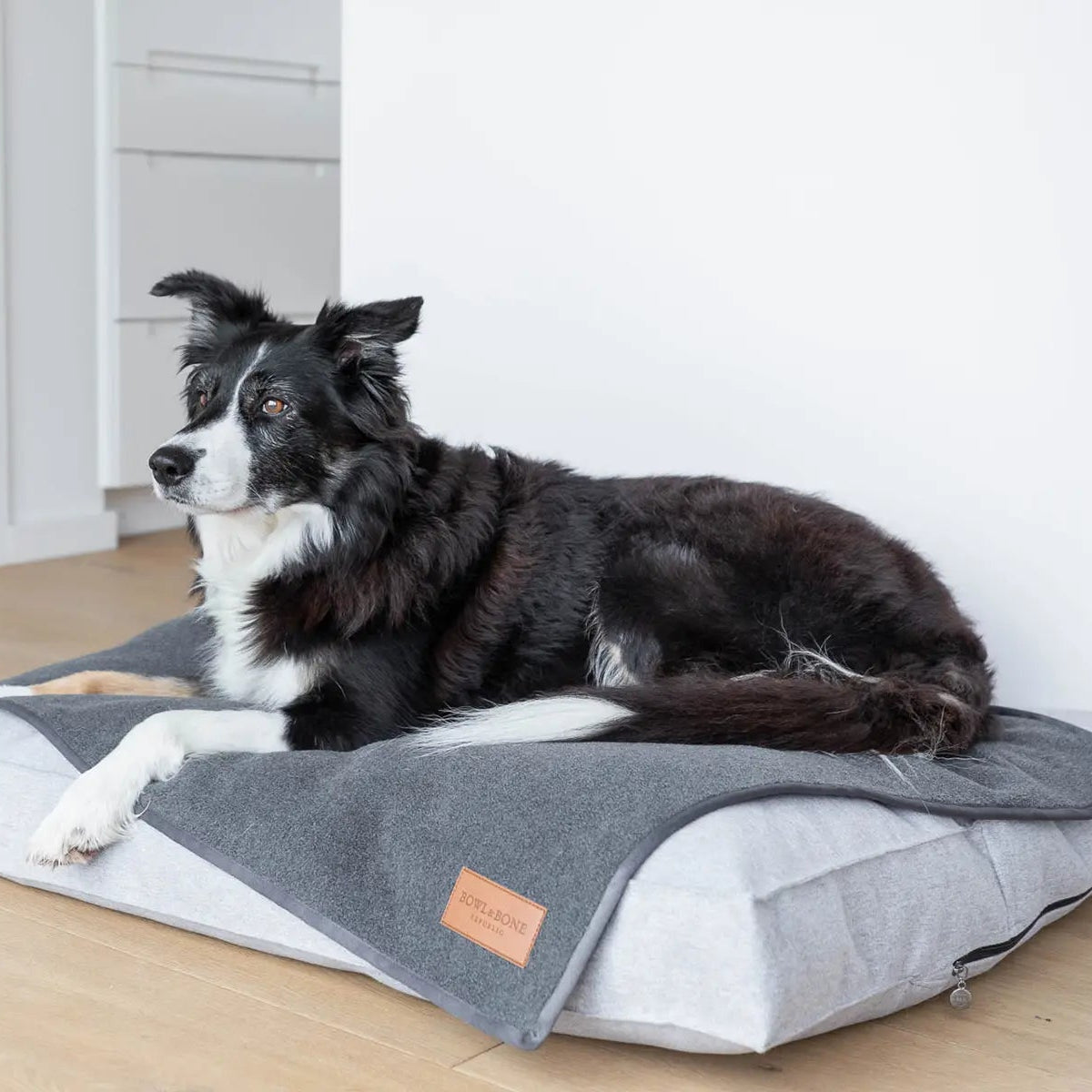 Couverture pour Chien Gris 'Zen' par Bowl&Bone