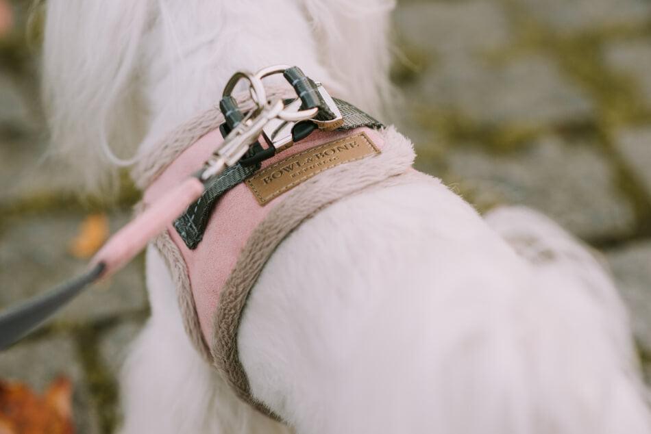 Harnais Chien YETI Bleu par Bowl & Bone - Pom D'Azur