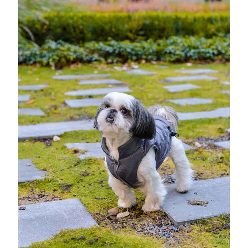 Veste Pour Chien Gris SPIRIT par Bowl & Bone