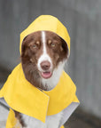 Imperméable pour chien “Tempête” jaune par Bowl&Bone
