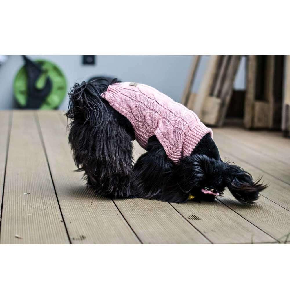 Pull Pour Chien ASPEN Rose par Bowl & Bone - Pom D'Azur