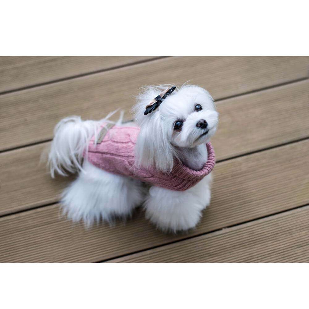 Pull Pour Chien ASPEN Rose par Bowl & Bone