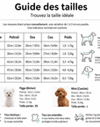 Imperméable Transparent à Cœurs pour Chien
