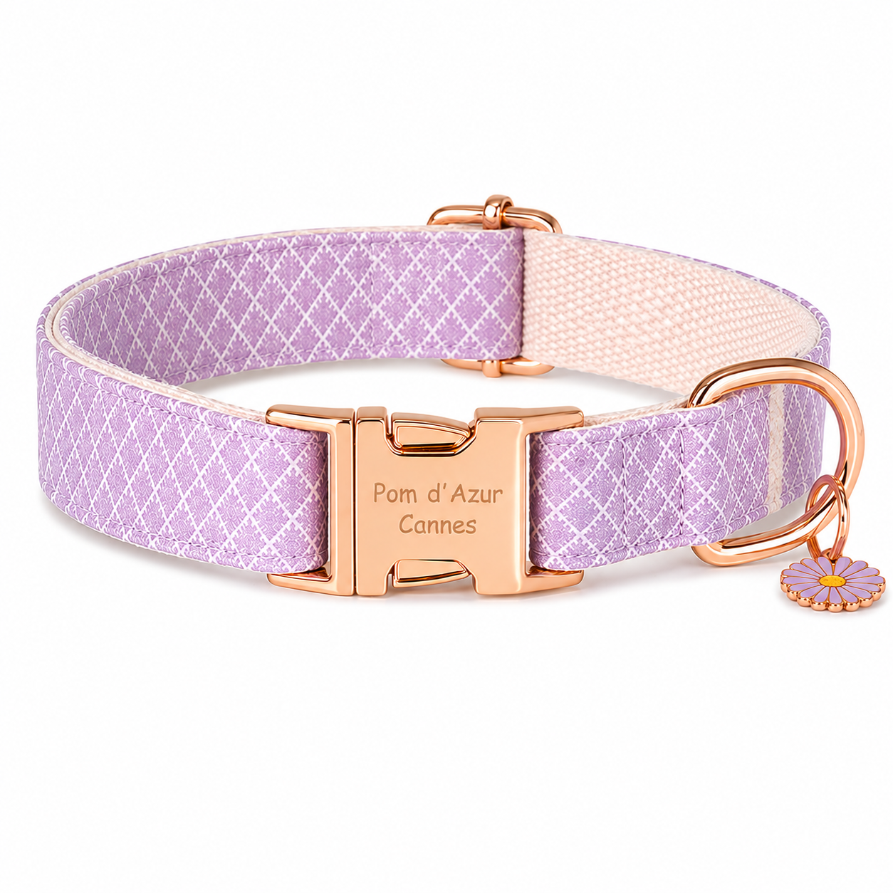 Collier pour Chien Daisy – Paillettes &amp; Boucle Gravée Pom d’Azur