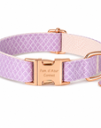 Collier pour Chien Daisy – Paillettes & Boucle Gravée Pom d’Azur