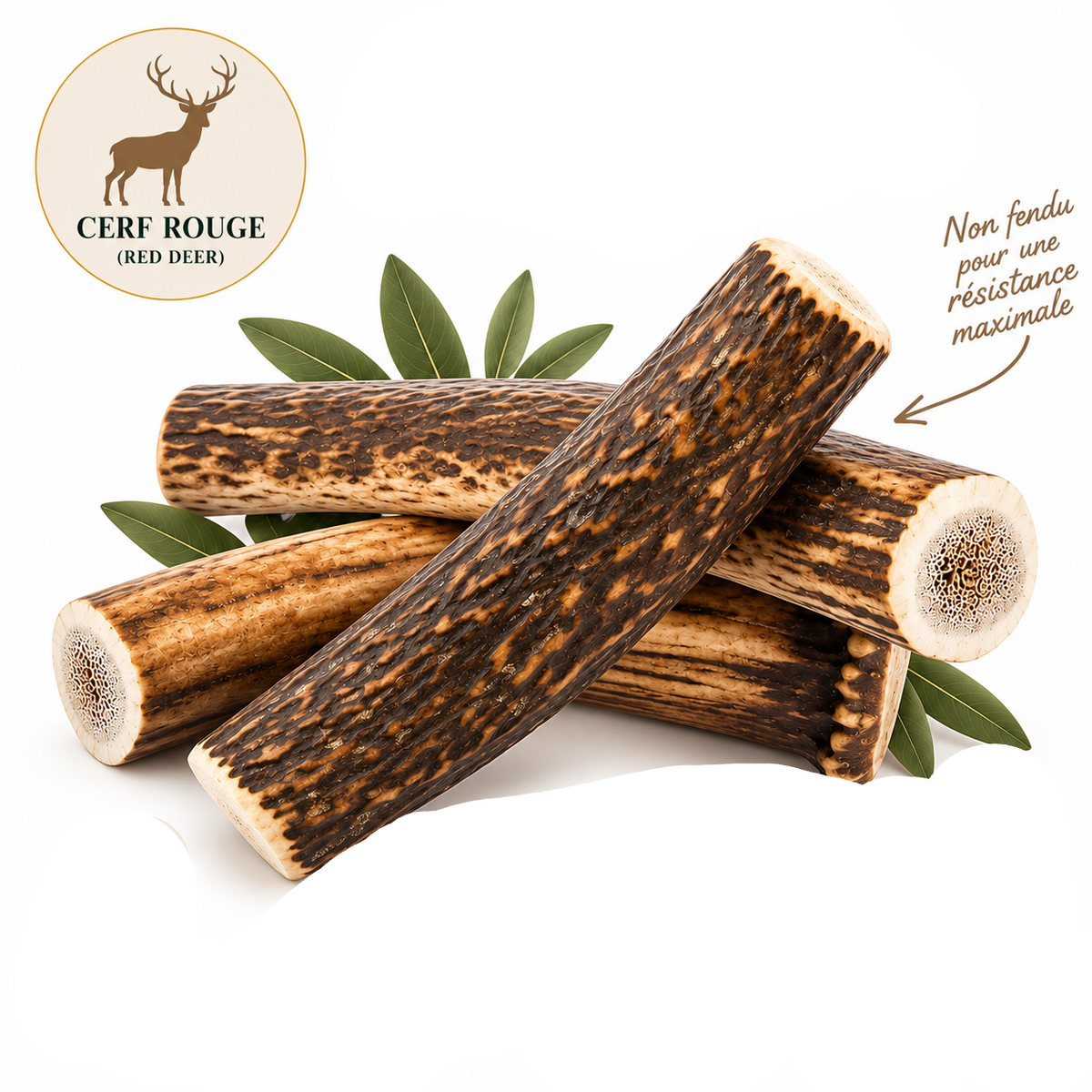 Bois de Bois de Cerf Entier – Mastication Naturelle Longue Durée