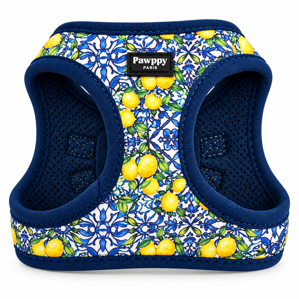 Harnais Mini Amalfi Pawppy Paris
