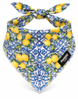 Bandana pour Chien Amalfi – Citrons & Majolique Pawppy Paris