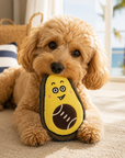 Avocat Riviera – Jouet pour Chien Pom d’Azur