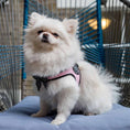 Load image into Gallery viewer, Tre Ponti Easy Fit Fashion Pink Harness with Polka Dot Bow
