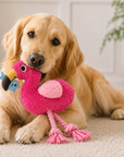 Jouet pour Chien Rosie le Flament Rose 'Collection Croisette'