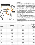 Imperméable Transparent à Cœurs pour Chien