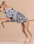 Chemise Anti-UV & Anti-Insectes pour Chien Zebra UPF 50+