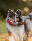 Jouet pour Chien Couteau Sanglant – Halloween