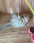 Canne à Plumes pour Chat – Rose & Orange avec Grelot
