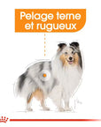 Croquettes Royal Canin Beauté du Pelage 3kg