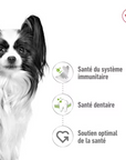 Croquettes Royal Canin Pour Très Petits Chiens Toutes Races 1,5 kg