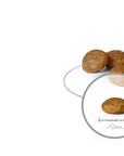 Croquettes Royal Canin Pour Très Petits Chiens Toutes Races 1,5 kg