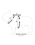Harnais Chien YETI Bleu par Bowl & Bone - Pom D'Azur