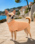 veste anti uv pour chien