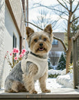 YETI Snow Dog Harness Coat by Pom d'Azur