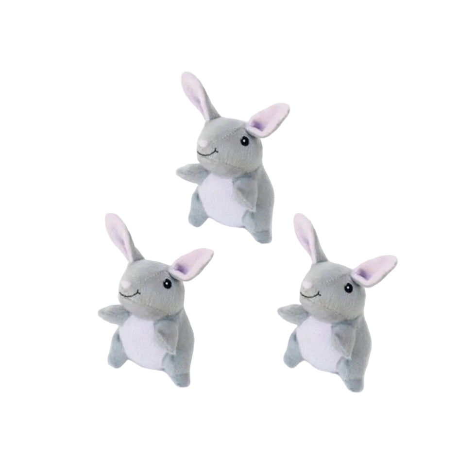 Lot de 3 Lapins Jouet pour Chien